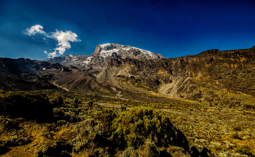 
8   Day Mount Kilimanjaro Lemosho Trekking Route
