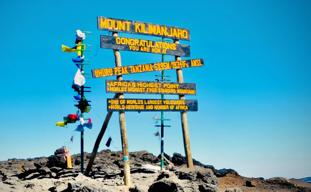 
7  Mount Kilimanjaro Rongai Route Trekking