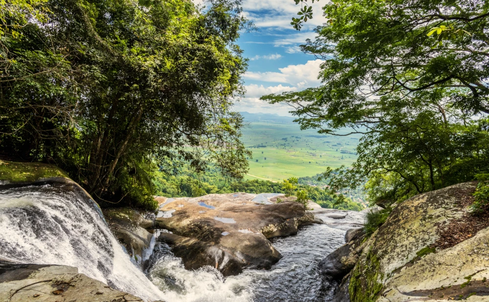 
3   Day Mikumi & Udzungwa National Park Camping Safari