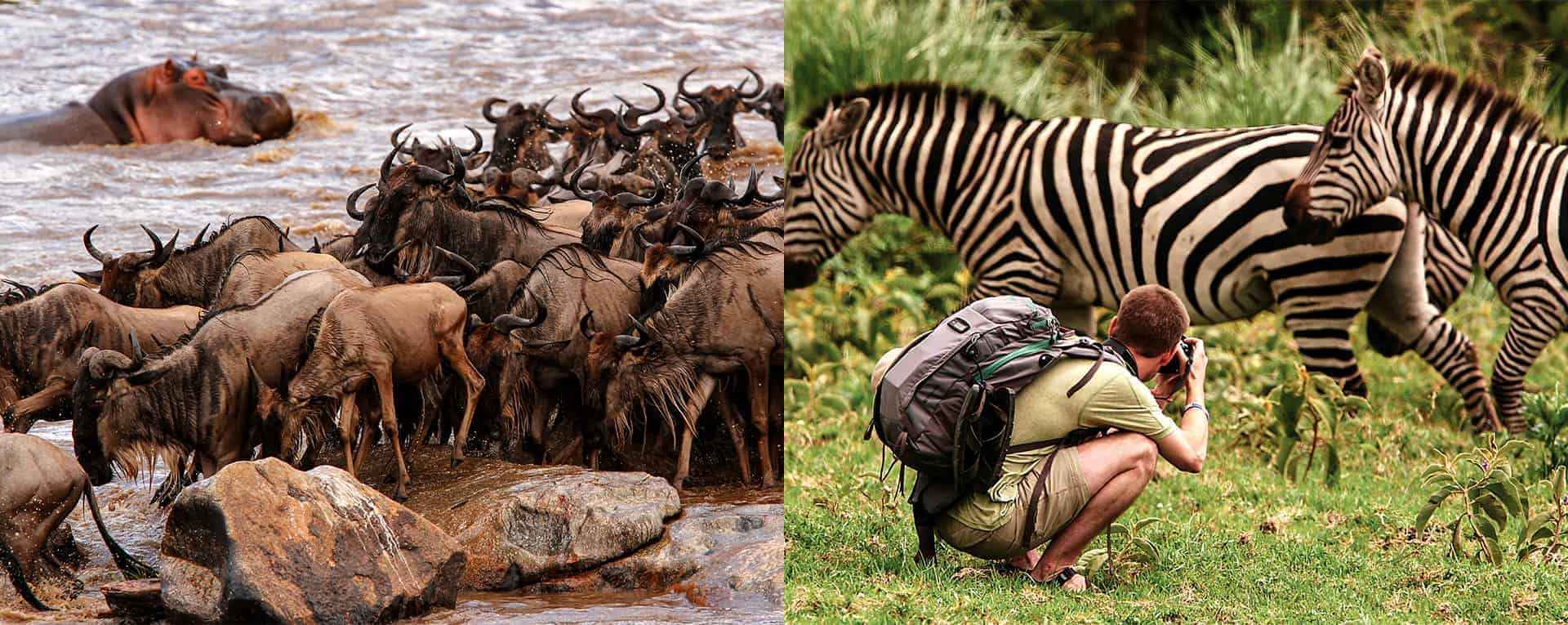 
Why Tanzania Is the Best Destination for African Safaris