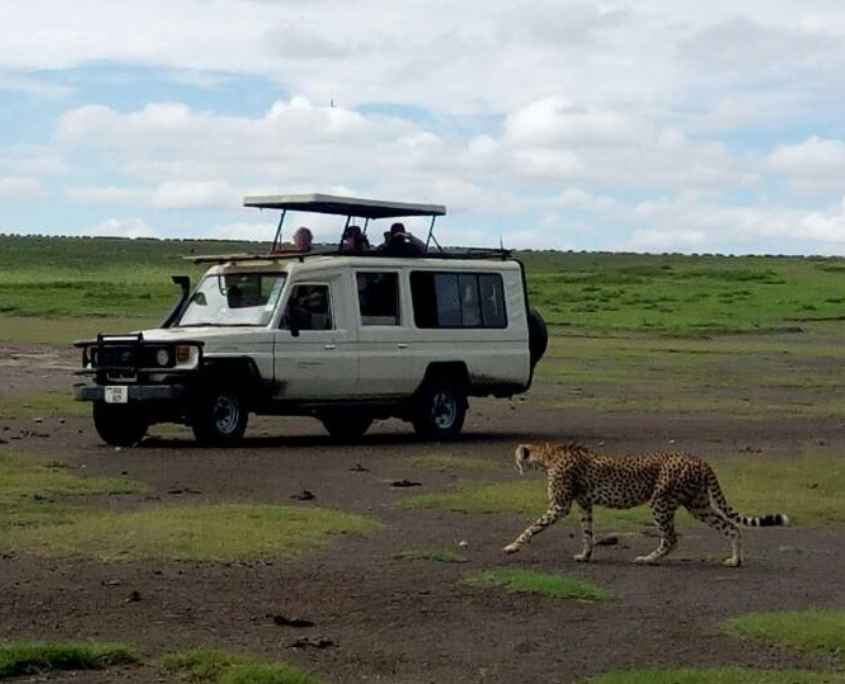 
How to Choose the Right Safari Operator in Tanzania